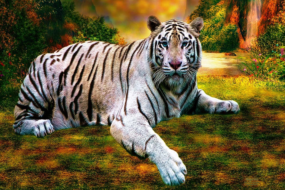 Bengal Vale