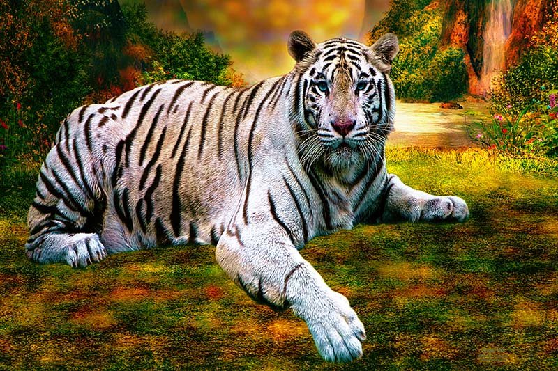 Bengal Vale