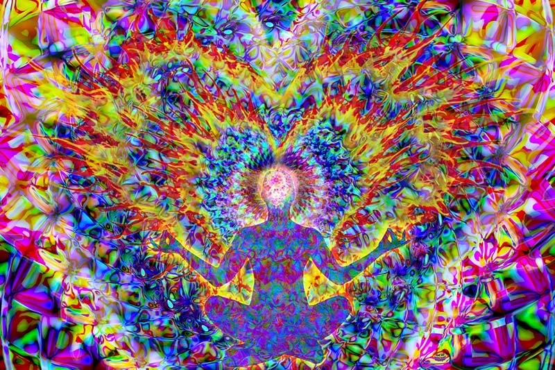 Hearts Meld