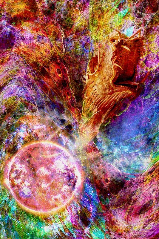 Interphasic