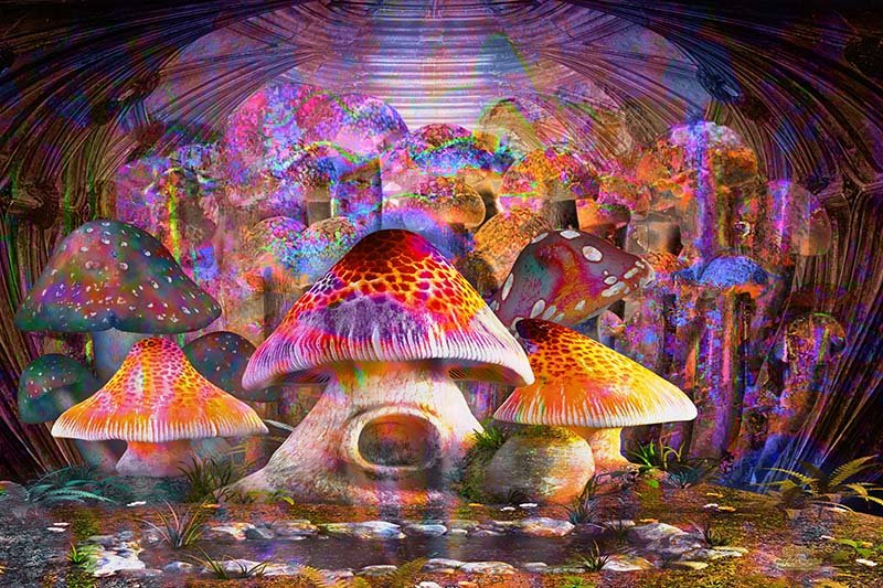 Psy Blend