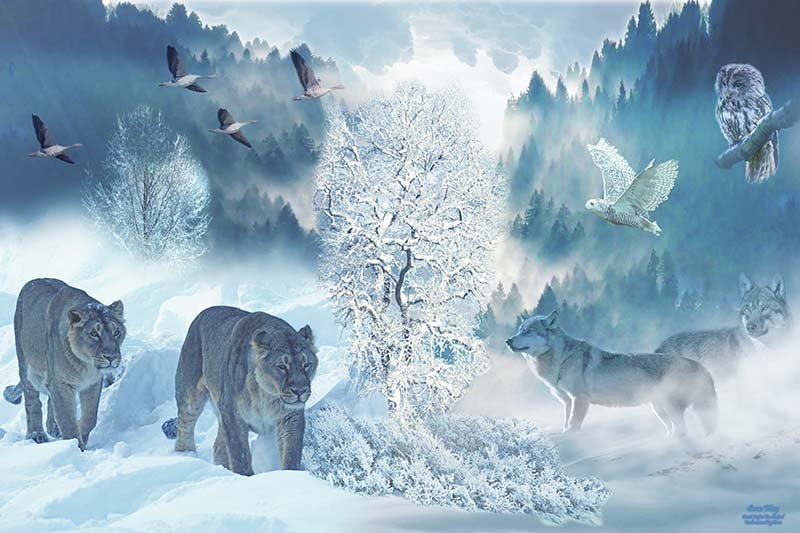 Snow Way