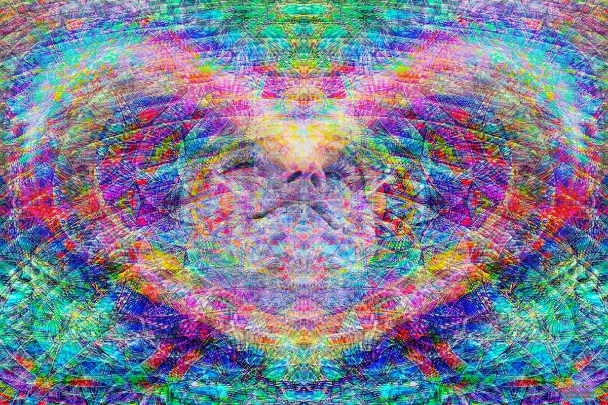 Vibe Sings